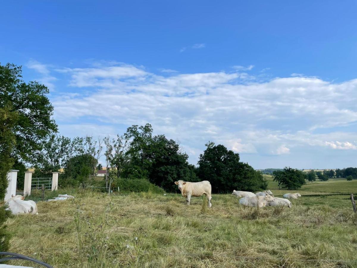Gite De La Combe Ganat 3 Etoiles Sanvignes-les-Mines Bagian luar foto